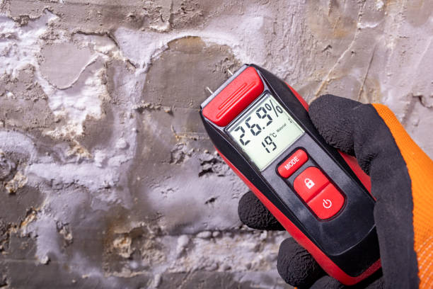 Best Local Mold Removal Service  in Portage, PA